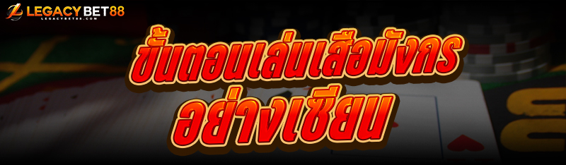 ขั้นตอนเล่นเสือมังกร